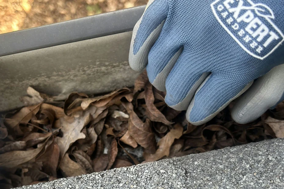 Gutter Cleaning Babcock Ranch FL