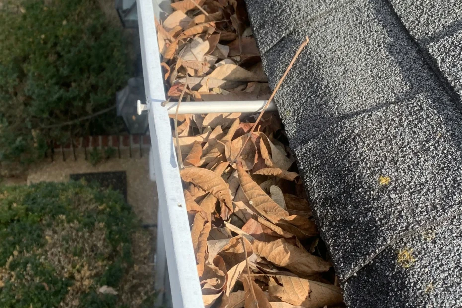 Gutter Cleaning Babcock Ranch FL