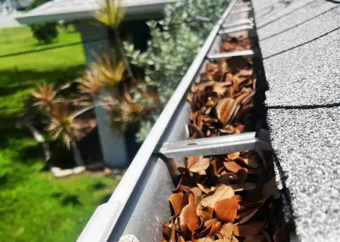 Gutter Cleaning Babcock Ranch FL home page